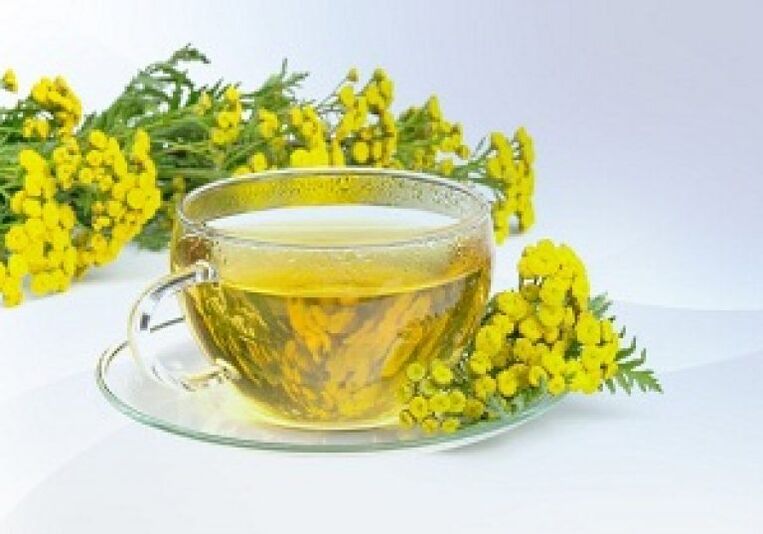 Infus tansy akan membantu menghilangkan parasit dalam tubuh