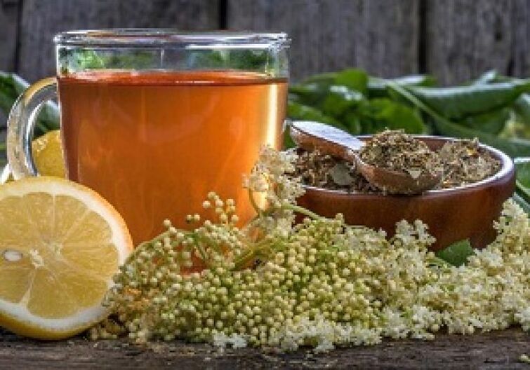 Obat tradisional untuk cacing dan parasit
